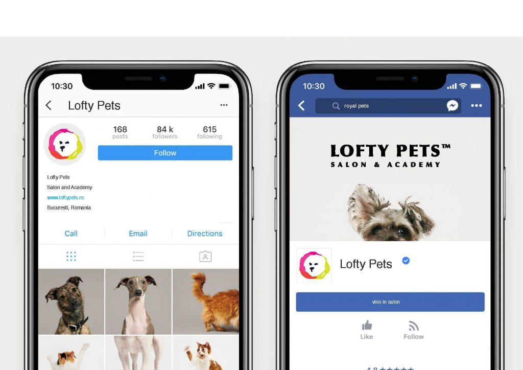 Servicii social media pentru Lofty Pets, groomer canin Bucuresti, client agentia Connect Media.