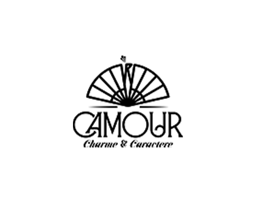 Camour logo