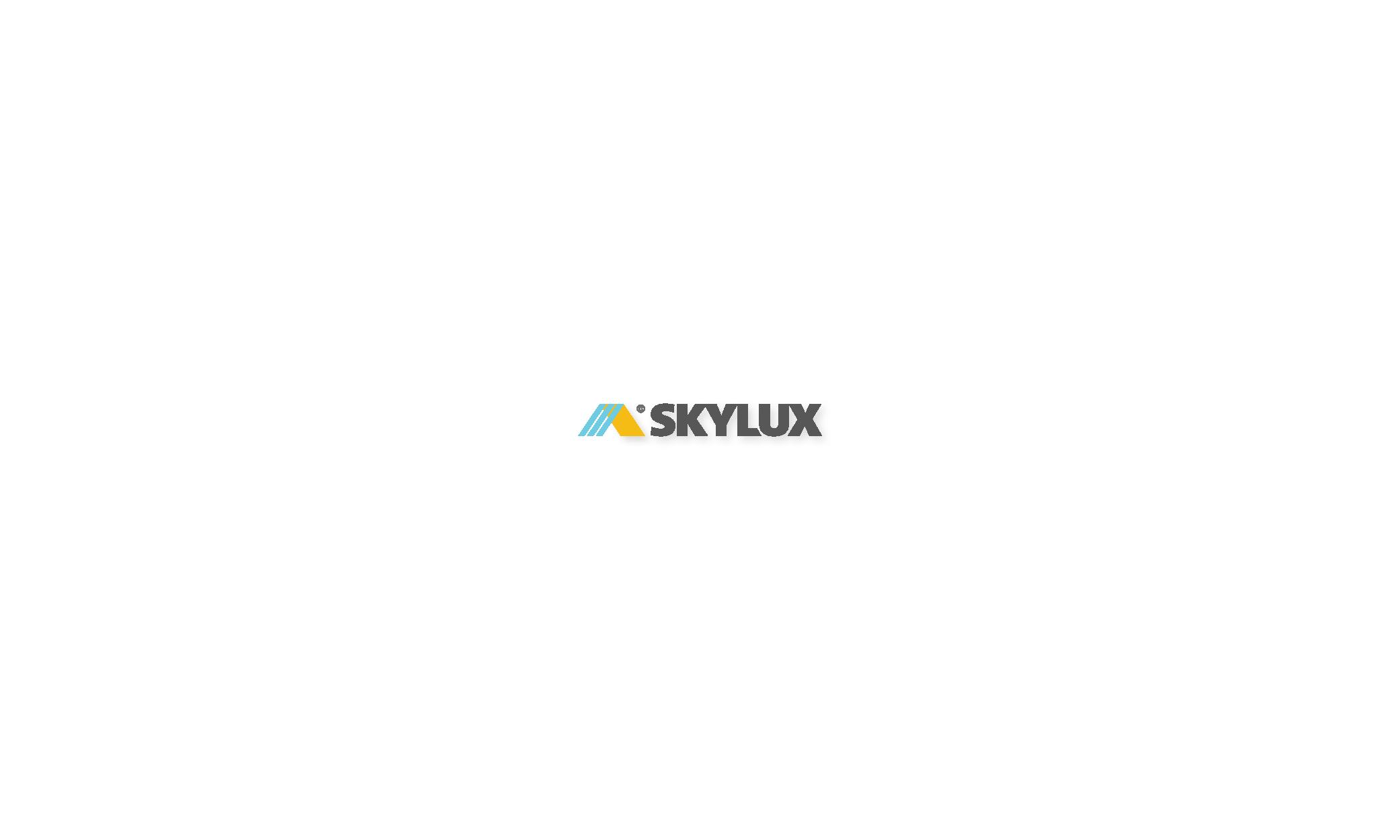 01.04 Prezentare logo Skylux page 010
